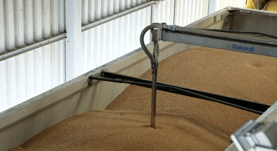 Украина и Польша договорились "выработать вариант взаимодействия" по экспорту зерна
