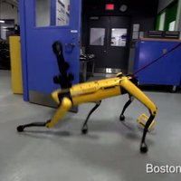 ВИДЕО: Инженеры Boston Dynamics опять поиздевались над роботами; те им припомнят