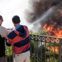 Нетаньяху: умышленный поджог лесов будет расцениваться как терроризм