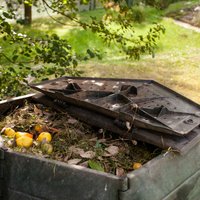 Dārznieka 'melnais zelts': četras izplatītas kļūdas komposta veidošanā