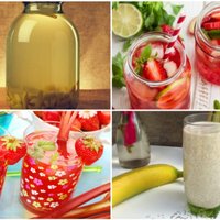 Rabarberu dzērieni: 13 receptes limonādei, kvasam, kompotam un smūtijiem