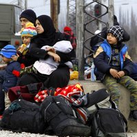 Министерство культуры объявило конкурс на интеграцию беженцев