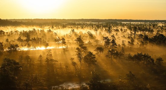 Foto: Fantastiski skati miglas rītā ar Lielo Ķemeru tīreli dzintara nokrāsās