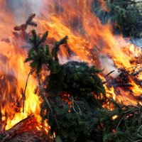 Mācību laikā Ādažu poligonā izcēlies ugunsgrēks - aizdedzies arī mežs