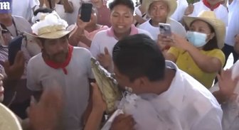 ВИДЕО. Мэр мексиканского города женился на аллигаторе
