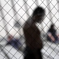 Латвия заплатит 10 000 евро за незаконное удержание в психбольнице