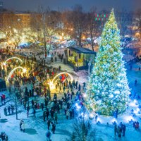 ФОТО. Волшебство в городе! В Елгаве зажгли главную городскую рождественскую елку