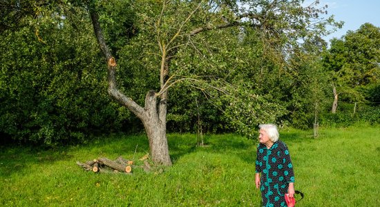 Два катаклизма за один век: 94-летняя Расма Адама пережила две бури, ей есть что рассказать