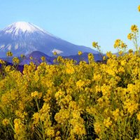 Гора мусора: Япония вводит плату и ограничение на посещение Фудзиямы