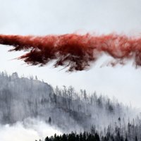 Mežu ugunsgrēku dēļ evakuēti 11 tūkstoši Kolorado štata iedzīvotāju