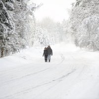 Этой зимой в Латвии замерзли насмерть 65 человек