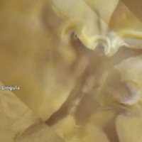 Dedzīgs kosmosa pētnieks uz Marsa pamanījis erceņģeli Mihaēlu
