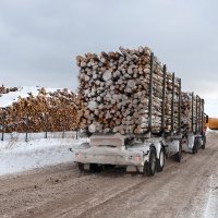 Latvijas meža produkcijas eksports pērn sasniedzis rekordu