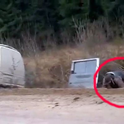 Video: No grāvī ieslīdējuša busiņa ārā veļas piedzērušies letiņi