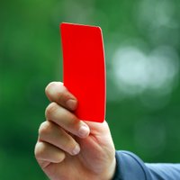 Футболист Ибрагимович стал каратистом и получил красную карточку