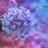 Что сегодня важно знать о коронавирусе? Ведущие вирусологи Германии делятся информацией