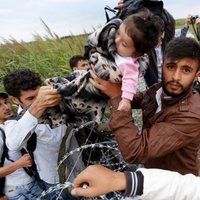 Неофициальная информация: в Латвию направят не 250, а 2239 беженцев