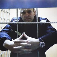 Навального отправили в ШИЗО в седьмой раз