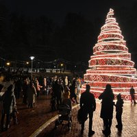 ФОТО. Рождественская елка в Лиелварде в этом году повторяет узоры Лиелвардского пояса