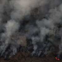 'Mūsu nams deg': Makrons ceļ trauksmi par Amazones ugunsgrēkiem