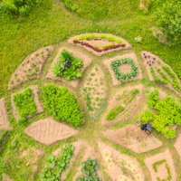 ФОТО: Как рижане своими руками маленький садик на Луцавсале создавали