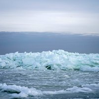 ФОТО. Ледяные скульптуры и горы льда: что сейчас можно увидеть на берегу моря