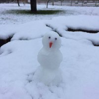 Lasītāja foto: Latvijā uzcelts pirmais sniegavīrs