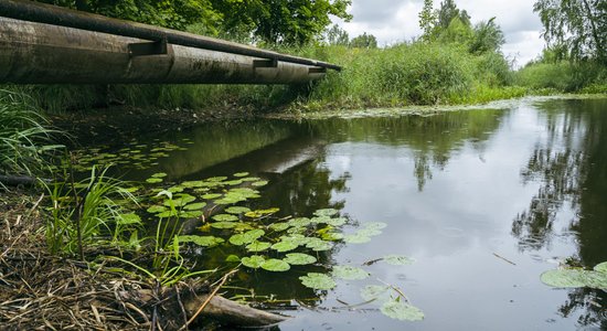 Aptauja parāda, ka Latvijā pārāk maz tiek runāts par upju tīrību