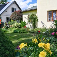 Foto: Skaistākie dārzi un mājas no 16 Latvijas novadiem