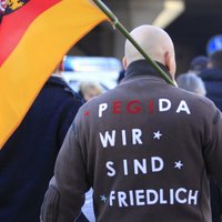 В Германии резко выросло количество правых радикалов