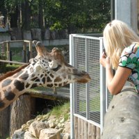 Рижский зоопарк просит у думы 100 000 евро, иначе придется сокращать число животных