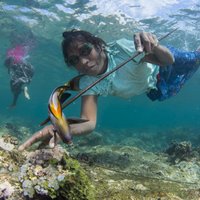 Dienas ceļojumu foto: Atauro salas 'nāriņas' dodas zvejā