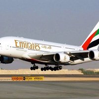 В Нью-Йорке изолировали самолет из Дубая, 100 пассажиров которого заболели