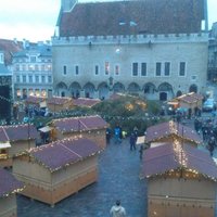 В Таллинне упала главная рождественская елка