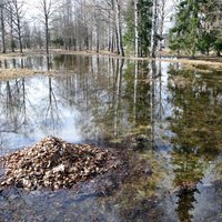 Vairākas Kurzemes upes izgājušas no krastiem, applūst palienes