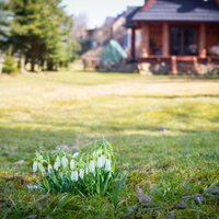 Ne tikai logu tīrīšana: 10 praktiski pavasara darbi mājās