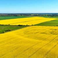 Latio: стоимость гектара сельскохозяйственной земли в Латвии - одна из самых низких в Европе