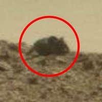 Ufologs uz Marsa pamanījis milzu peli