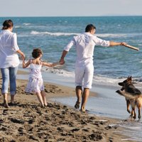 Пляж, парки и игровые площадки. За незаконный выгул собак в Юрмале — штраф от 10 до 1500 евро