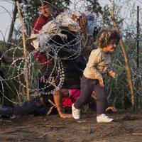 Венгрия построит еще один забор для защиты от беженцев