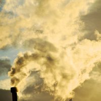 В Германии выявили связь между загрязнением воздуха и смертностью от Covid-19