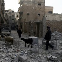 ANO Drošības padome izskata rezolūcijas projektu par 30 dienu pamieru Sīrijā