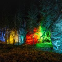 Krāšņi foto: Gleznainās un izgaismotās Cecīļu dabas takas
