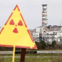 Молоко, грибы и северные олени. Что произошло с радиацией после аварии в Чернобыле