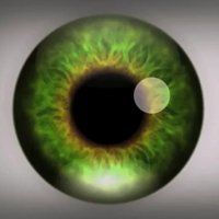 Video: Optiskā ilūzija ar halucināciju efektu