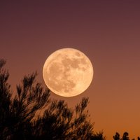 Не пропустите: завтра можно увидеть Кровавую Луну. Самые интересные небесные феномены года