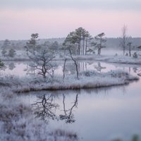 Marts Latvijā sāksies ar 25 grādu salu, prognozē sinoptiķi