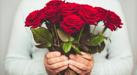 Как надолго сохранить розы, которые вам подарили на День святого Валентина?