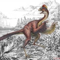 Теплокровность динозавров определили с помощью яиц