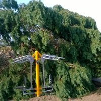 ФОТО, ВИДЕО: Вырванные с корнем сосны и покореженные машины - Саулкрасты приходят в себя после бури